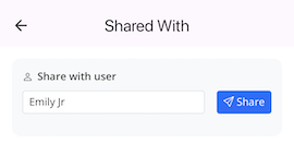 Client viewing and approving the trip in Opeego